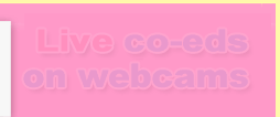 ImLive.com