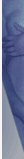 ImLive.com