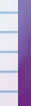 ImLive.com