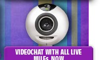 ImLive.com