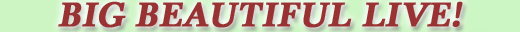ImLive.com
