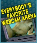 ImLive.com
